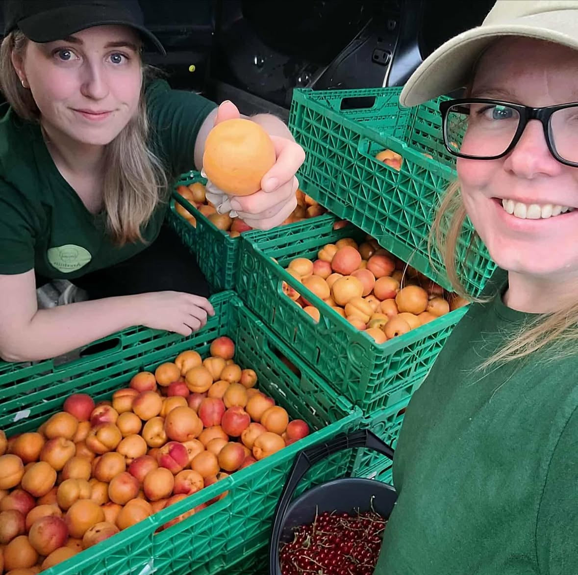 Lærdal – aprikos & tindved (limited edition)