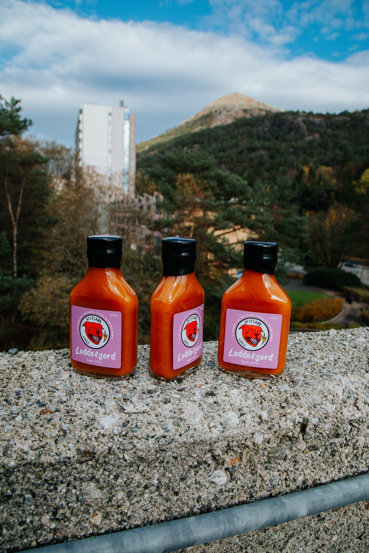 Pakkedeal: Alle fire sausene + Vestland Chili sokker